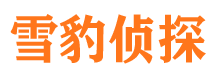 信阳市私家侦探